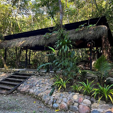 Kuyana Amazon Lodge Archidona Eksteriør bilde