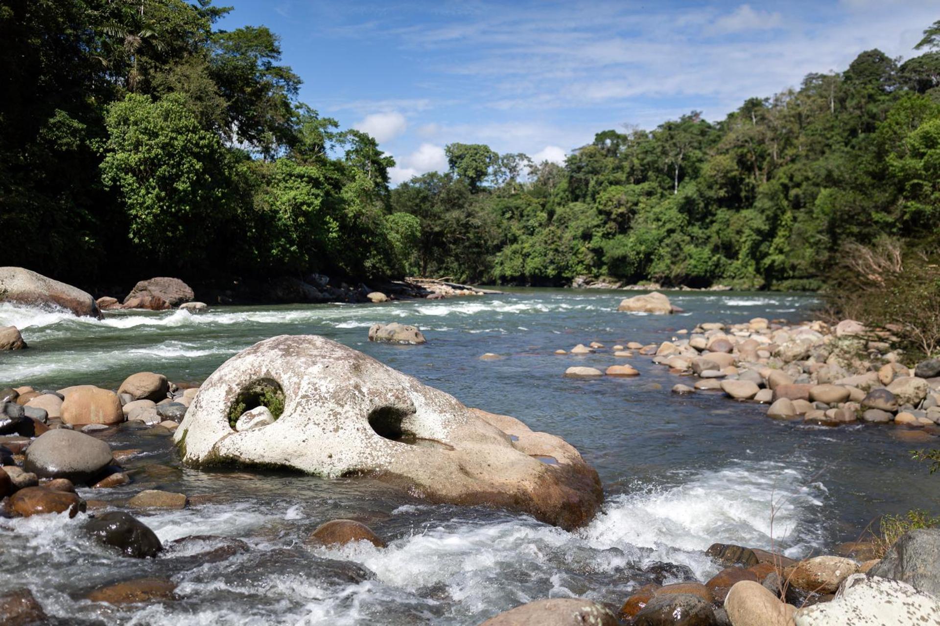 Kuyana Amazon Lodge Archidona Eksteriør bilde